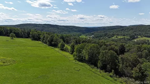 Hubert Road, Callicoon, NY 12748 photo 22