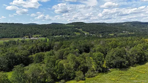 Hubert Road, Callicoon, NY 12748 photo 21