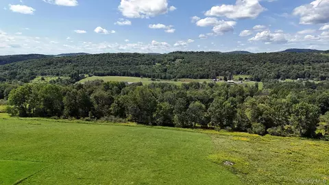 Hubert Road, Callicoon, NY 12748 photo 18
