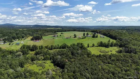 Hubert Road, Callicoon, NY 12748 photo 24