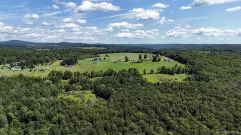 Hubert Road, Callicoon, NY 12748 photo 4