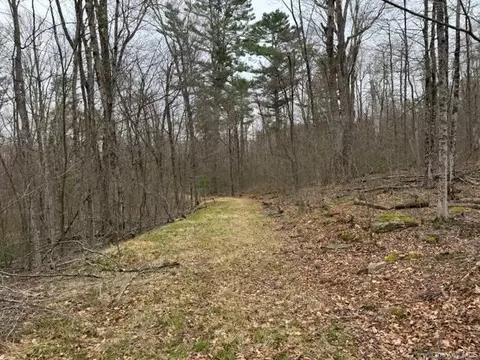 lot32 Woodstone Trl, Bethel, NY 12720