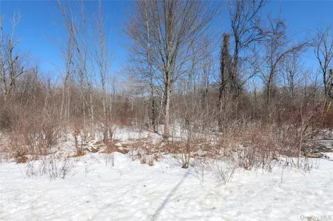 2410 State Route 300, Shawangunk, NY 12589 photo 6
