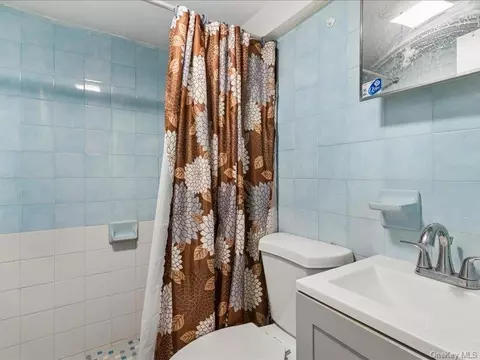 Bath - 155 Linwood St, Brooklyn, NY 11208 photo 3 of 3