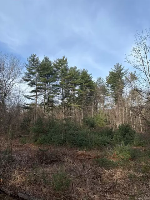 1 Avenue B, Deerpark, NY 12729 photo 4