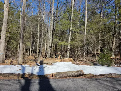 Gregory Road, Thompson, NY 12701