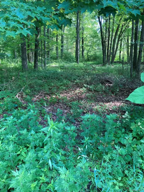 15 Adam Wagner Ln, Carmel, NY 10541