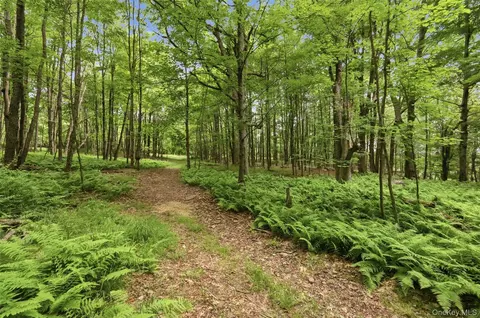 California Avenue, Liberty, NY 12754