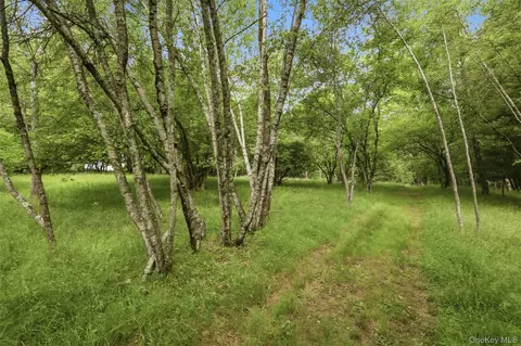 California Avenue, Liberty, NY 12754