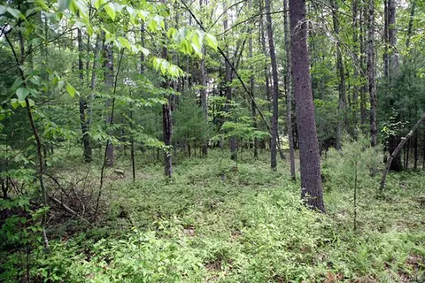 Country Road, Delaware, NY 12723