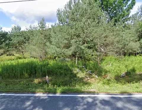 00 County Road 164, Callicoon, NY 12723
