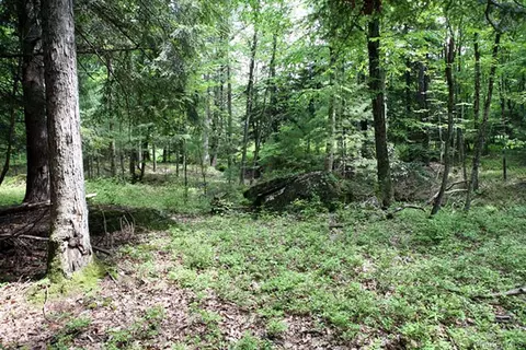 0 Neighborhood Rd, Brookhaven, NY 11967