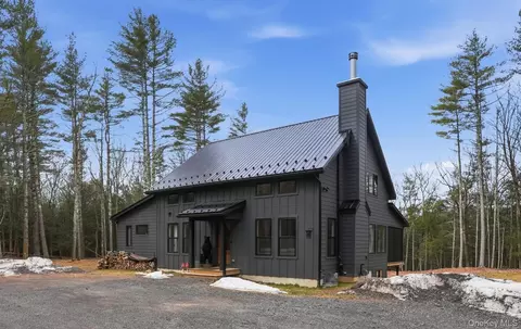 14 Tetta Ln, Olive, NY 12461