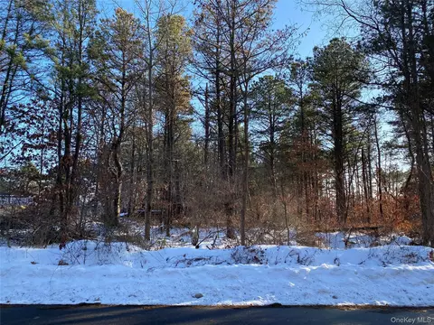 Agamemnon Avenue, Brookhaven, NY 11713