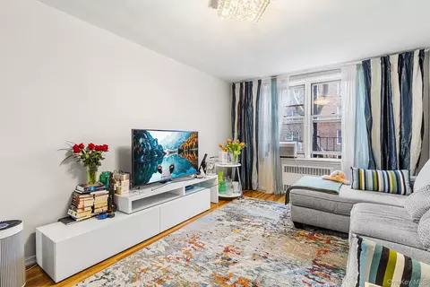 Living - 2552 E 7th St #2J, Brooklyn, NY 11235 photo 2 of 3