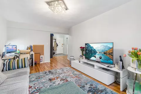 Living - 2552 E 7th St #2J, Brooklyn, NY 11235 photo 3 of 3