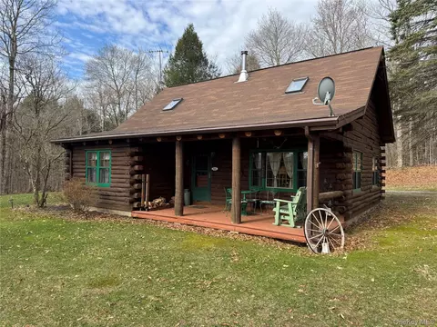 41 Maple Ln, Livingston Manor, NY 12758