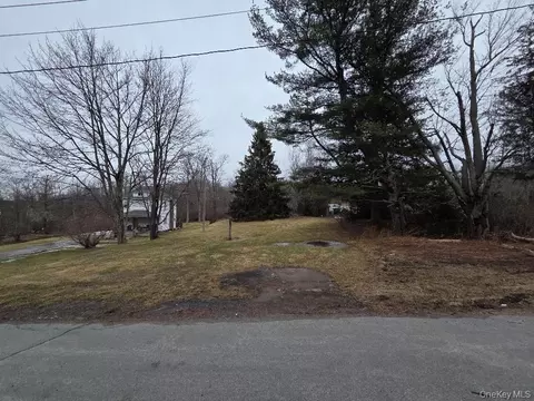 tbd State Route 52, Liberty, NY 12787