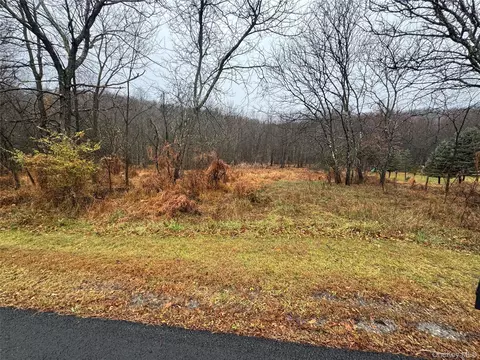 41 Enright Ln, Montgomery, NY 12549