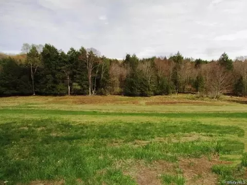 Hurd Road, Bethel, NY 12720
