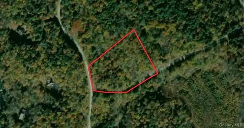 00 Kenoza Trl, Bethel, NY 12750