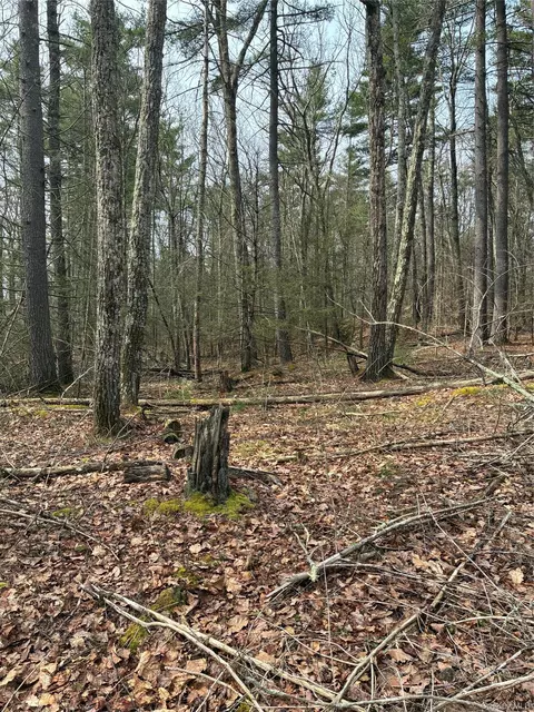 Rambling Road, Mamakating, NY 12790