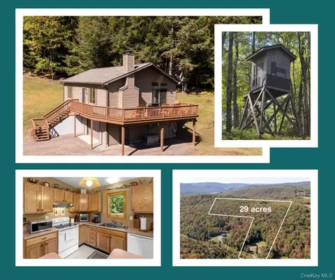 815 Covert Hollow Rd, Hamden, NY 13782