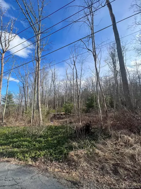 0 Laurel Trl, Mamakating, NY 12790