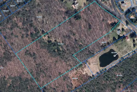 tbd Old Sackett Rd, Thompson, NY 12775