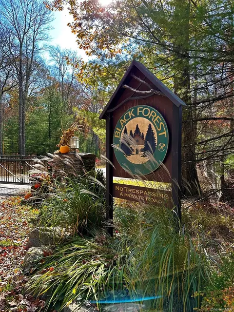 Upper Lumber Road, Lumberland, NY 12737