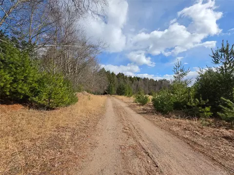 tbd Bobwhite Trl, Bethel, NY 12762