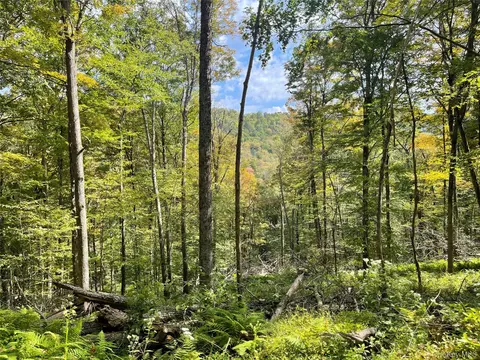 Carcass Brook Spur, Hancock, NY 13783