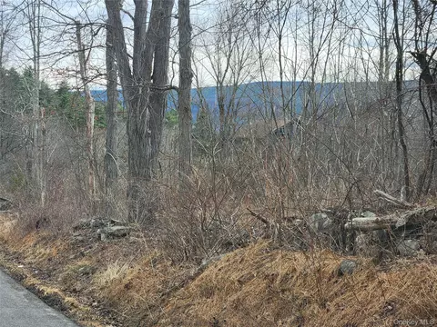 Irish Cape Road, Wawarsing, NY 12428