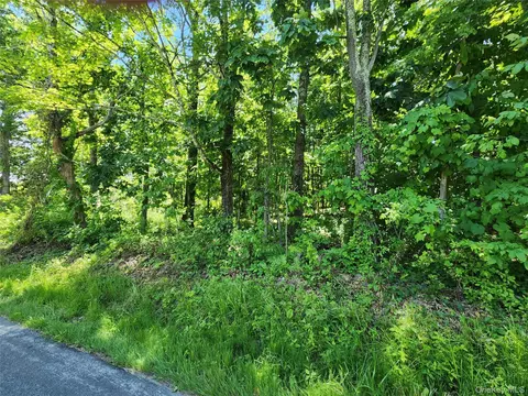 Irish Cape Road, Wawarsing, NY 12428