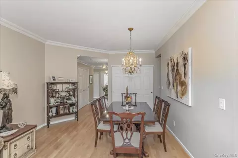117 Carriage Ln, Plainview, NY 11803 photo 9