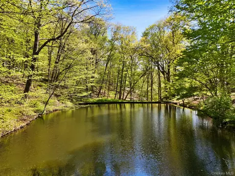 View/Area - 334 Pine Brook Rd, Pound Ridge, NY 11961 photo 2 of 4