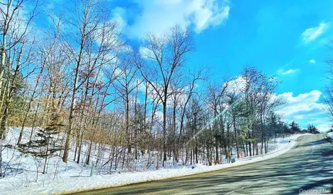 574 Sleepy Hollow Rd, Athens, NY 12015