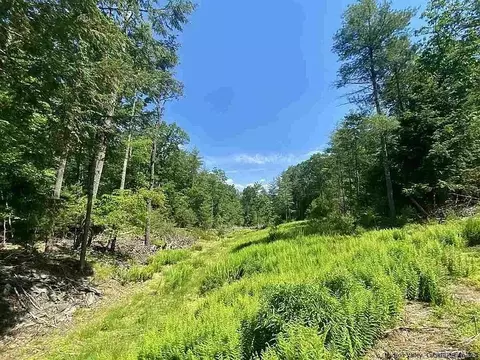 tbd Mulberry Ln, Woodstock, NY 12498