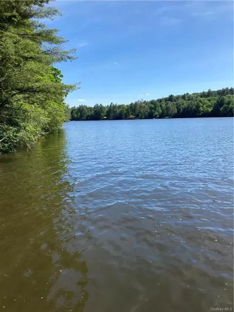Plank Road, Forestburgh, NY 12777