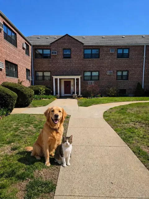 155-29 81st St #32, Howard Beach, NY 11414