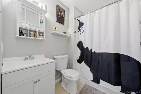 Bath - 205 Oak St, Patchogue, NY 11772 photo 3 of 3