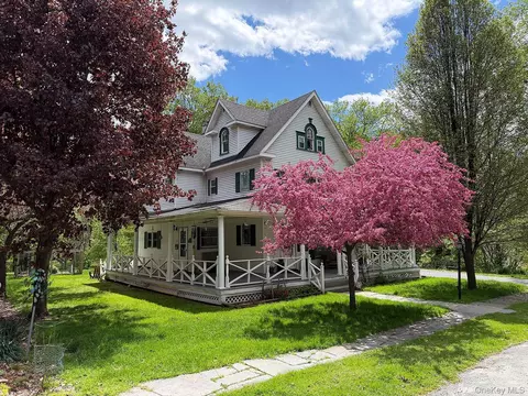 11 Highview Ave, Delaware, NY 12723