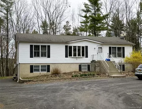 164 Frank Hitchcock Rd, Cairo, NY 12413