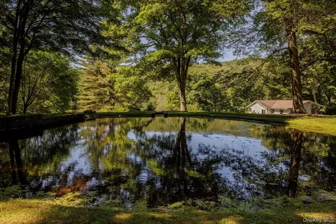 447 Butts Hollow Rd, Washington, NY 12522