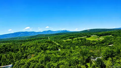 View/Area - 3 Deer Run W, Catskill, NY 12414 photo 4 of 17
