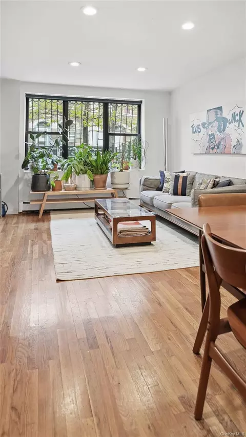 Living - 253 Cornelia St, Brooklyn, NY 11221 photo 8 of 9
