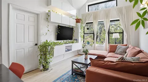 Living - 253 Cornelia St, Brooklyn, NY 11221 photo 4 of 9
