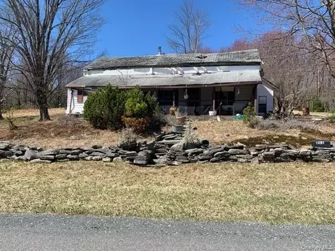 255 Wild Tpke, Thompson, NY 12775