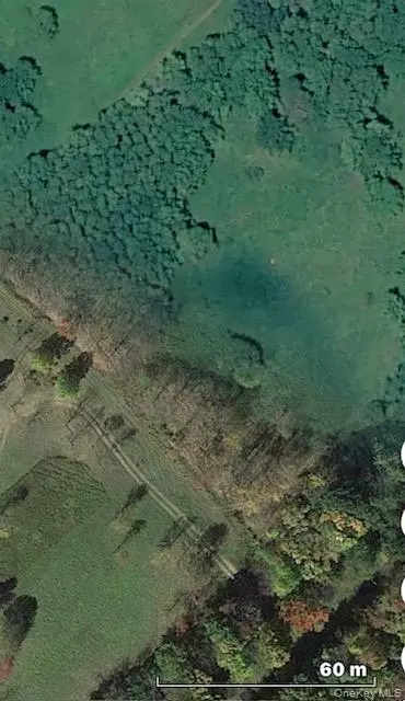 Chaffee, Liberty, NY 12754