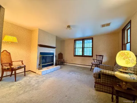 Living - 110 Eldred Yulan Rd, Highland, NY 12732 photo 1 of 4